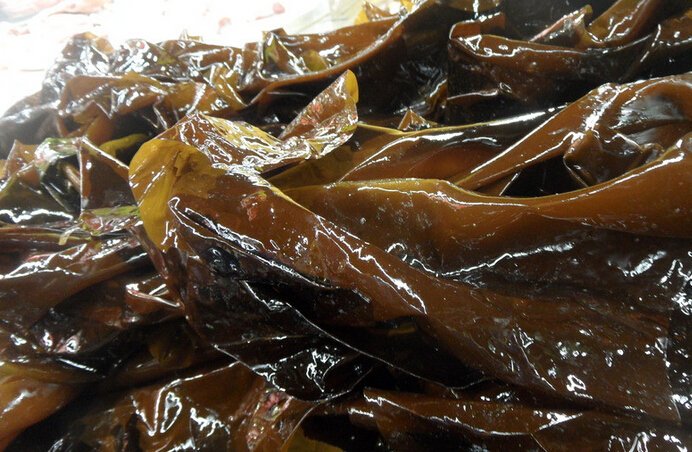 常吃海带会造成色素沉淀,皮肤变黑.