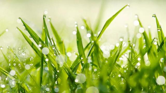 雨水養生健脾祛溼防倒春寒