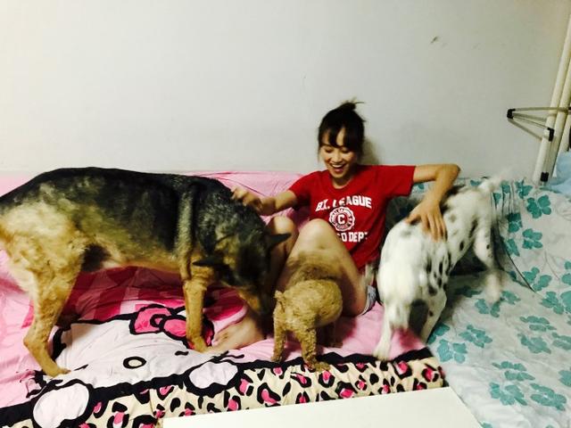 蓝盈莹自曝家中变动物救助中转站 全因这种本能