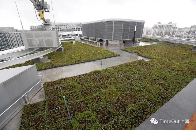 “进”在咫尺：长宁这些企业与进博会共舞