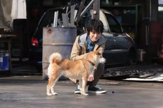 上海电影节已公布60余部电影片单 哪些是你的菜?