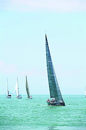 22186212.jpg