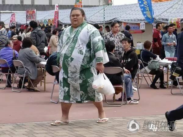 日本最萌相扑手网络爆红 被誉治愈系萌汉子