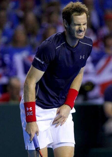 穆雷大腿拉伤将照核磁共振 英媒:或错过中网