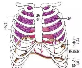 跑步呼吸沉重容易岔气你的呼吸方式要改了