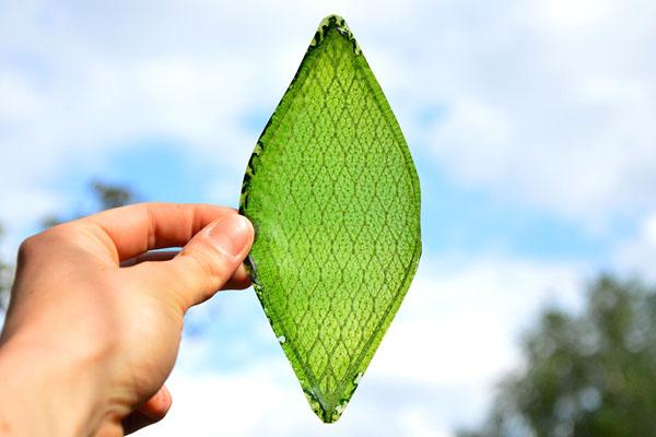 国外媒体盘点仿生学带来的6大技术突破