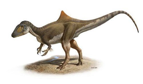 西班牙中部发现新的大型食肉恐龙化石(图)