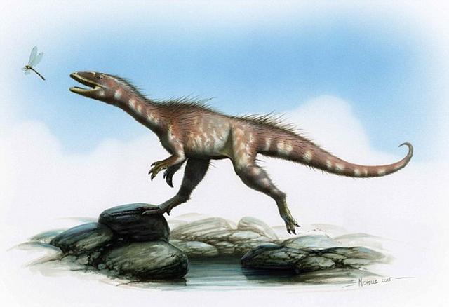 英海滩发现恐龙化石 属霸王龙“迷你祖先”