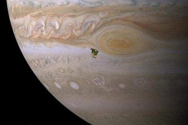 木星生物图片