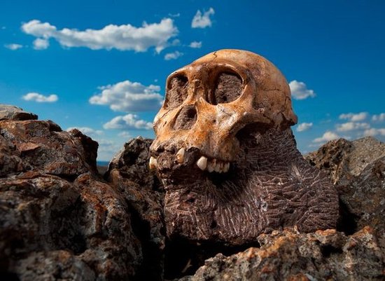 如何将自己"变身"成为化石?