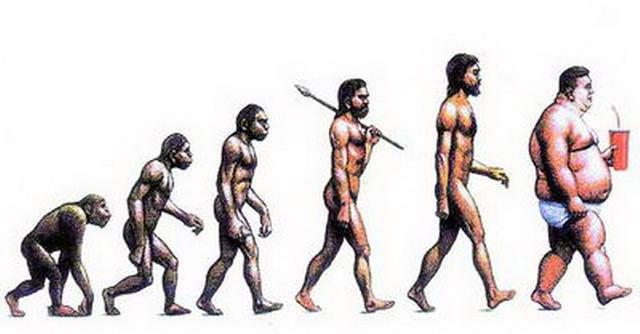 人类进化 曝光图片