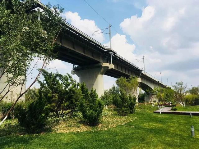 去天津首座栈道公园,除了能看高铁还能干啥?