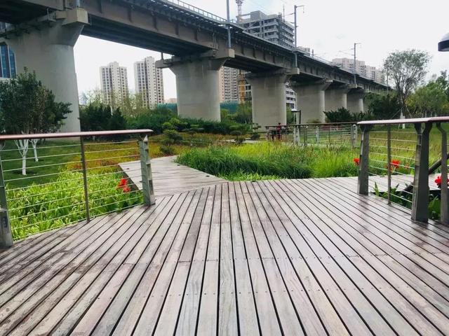 去天津首座栈道公园,除了能看高铁还能干啥?