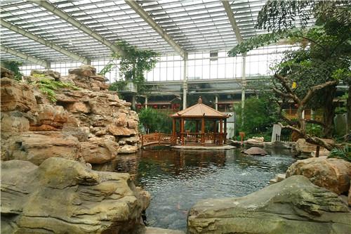 起航2018——元旦已至春将近,津城处处有"芳华"_大燕网天津站_腾讯网