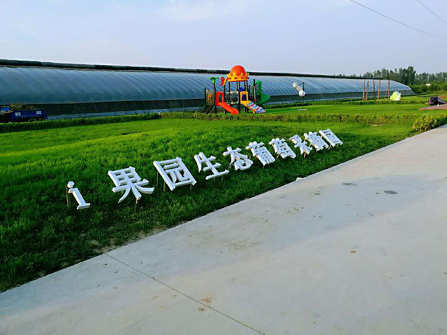 "i果园"龙海生态葡萄采摘园盛大开园