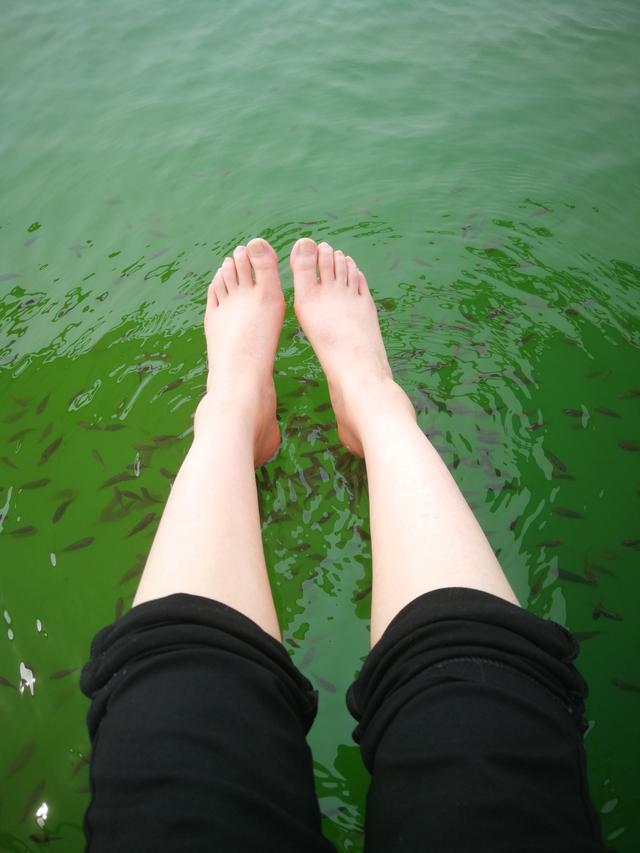 【多玛乐园两日游】跟娃一起捕鱼捉蟹,孩子都玩疯了!