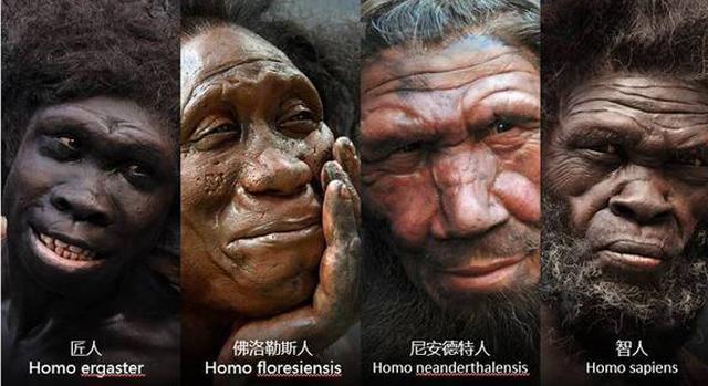 "许昌人"否定了北方中国人起源于非洲?