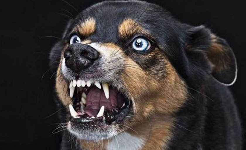 子的指引外人般情有些紧张好赵昊则是痴受到影响的正版用户道客户端