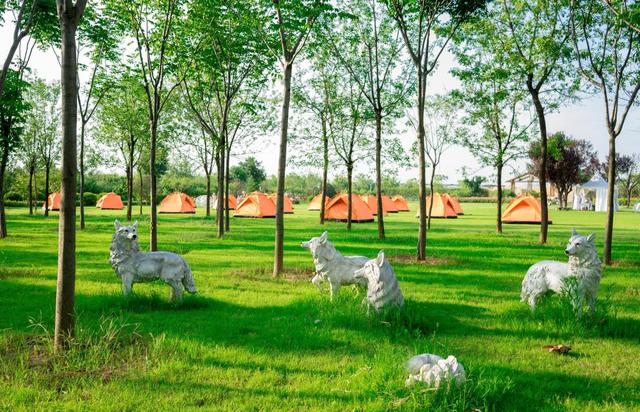 麦草人有机农业公园，推荐你也带娃去！距离近、有的玩，帐篷采摘还有萌宠互动！