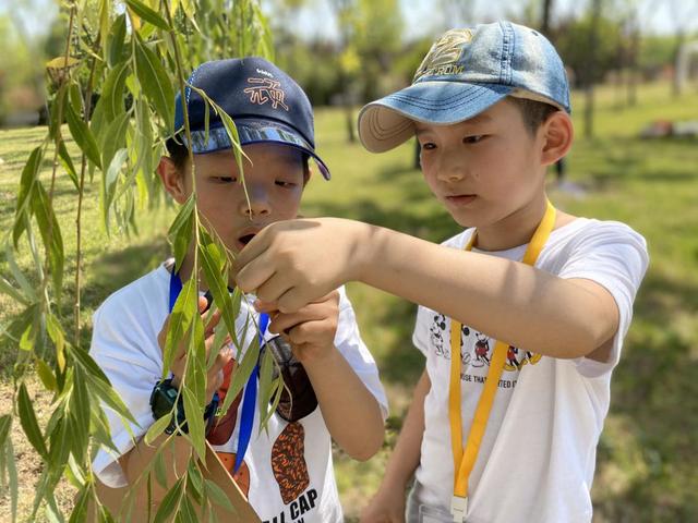 麦草人有机农业公园，推荐你也带娃去！距离近、有的玩，帐篷采摘还有萌宠互动！