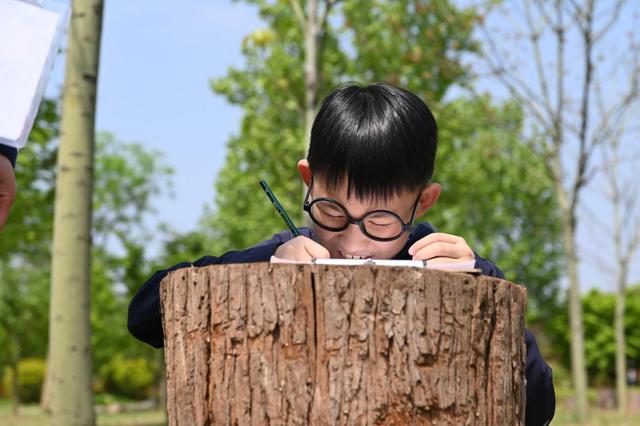 麦草人有机农业公园，推荐你也带娃去！距离近、有的玩，帐篷采摘还有萌宠互动！