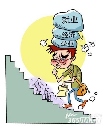 网站收录量骤减，原因分析与应对策略