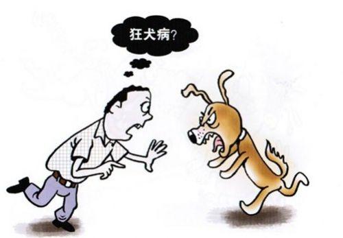 正确认识鼠在传播人狂犬病中的流行病学意义