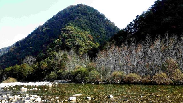 2019年“醉美黑河诗红叶”摄影大赛开幕!身份证上名为“建国国庆节”的游客将免票!