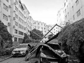 延安大風刮落遮雨棚 多輛豪車被砸