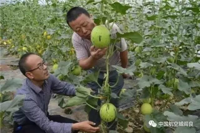 張小平:致富領頭羊 幫助困難群眾走上幸福路