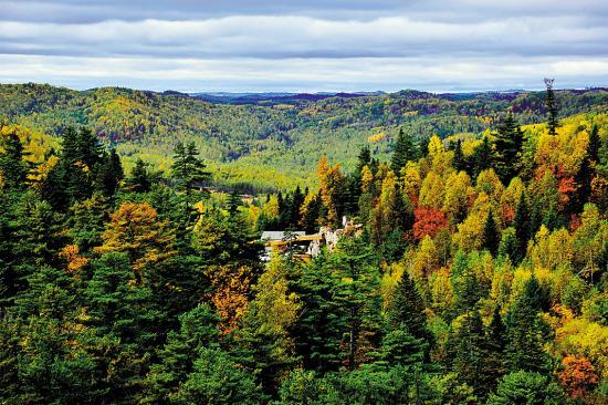 浅谈如何实现我国森林资源的可持续发展