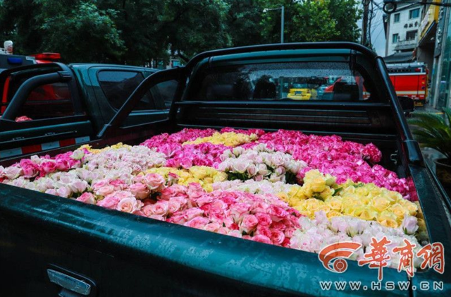 西安女子送消防员5000朵玫瑰 希望每次平安归来