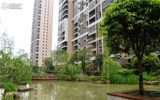 翰林居为何九华第一,解析它背后的硬实力