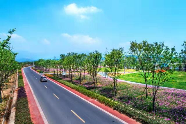 衢州市柯城全力打造的“一村万树”植树计划