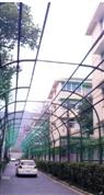 半山社区架起百米铁架 用藤蔓打造杭城爱情隧道