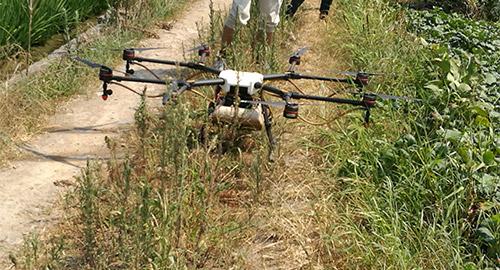 宁波农场主租无人机喷洒农药 一天喷400亩地