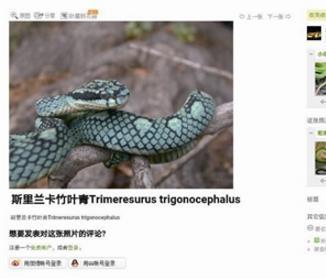 宁波17岁男孩网购毒蛇当宠物 喂食不慎手指被咬