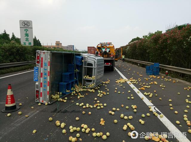宁波高速上 1800斤桃子散落一地