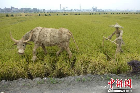 杭州富阳渔山稻香节开幕 “恐龙”助阵夺眼球