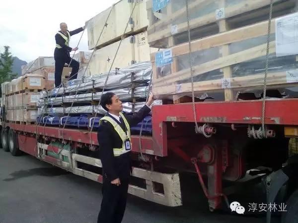 杭州老板送货时因包装箱是松木的 被罚了2000元