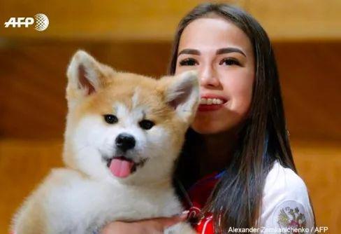 日本又送俄罗斯秋田犬 还有哪些动物当过“外交大使”