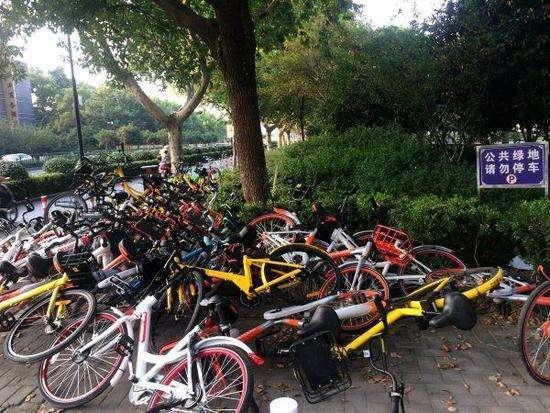 宁波也要整顿共享单车了 即日起先暂停投放