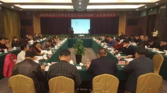 施可丰稳定性肥料试验总结