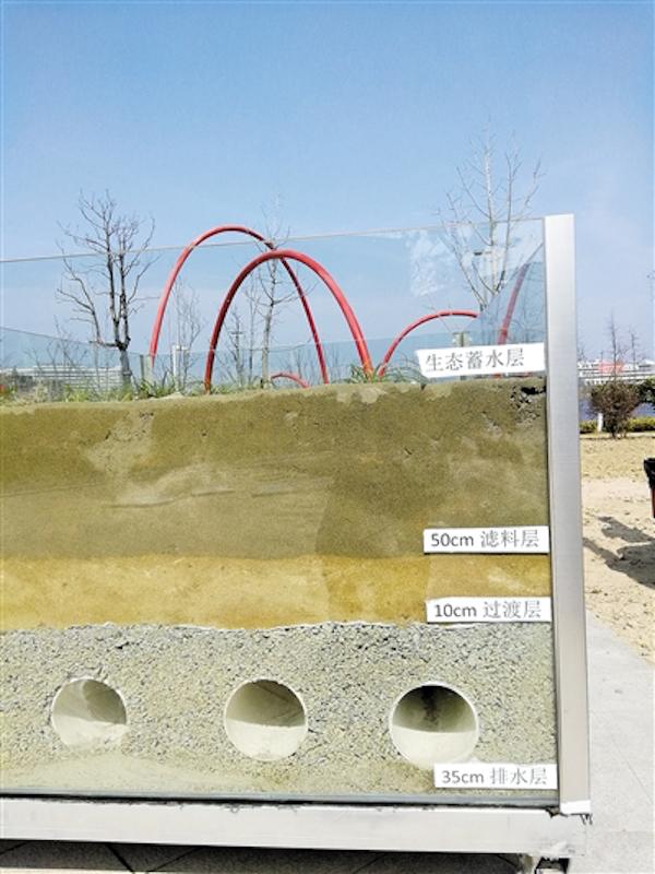 像海绵吸水放水 宁波首个海绵城市公园项目建成