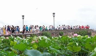 高温不肯走 杭州入秋要等到9月下旬