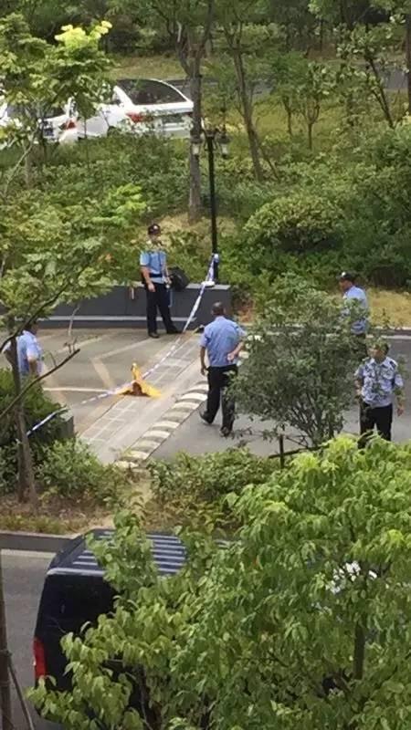 官方消息：嘉兴某地下车库发生一起非正常死亡事件