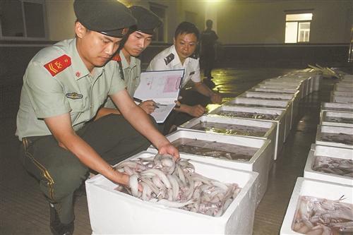 台州温岭查扣1856公斤非法捕捞海产品