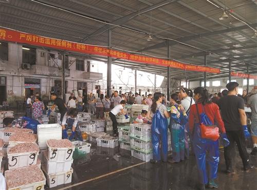 台州海虾产量降低了 价格为何不涨反降？