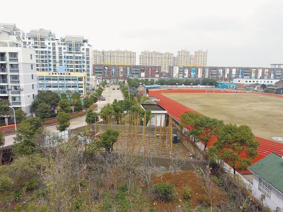 山东某小区绿化工程施工组织word文档下载