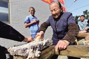 藕粉香飘三家村 回归“手削”制精品